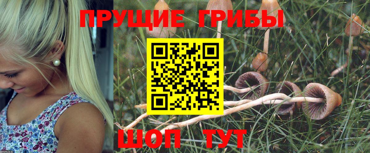 Спасск-Дальний  Псилоцибиновые грибы MAGIC MUSHROOMS  Вход с VPN 